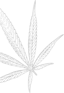 hero leaf 2