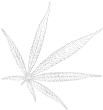 hero leaf 3